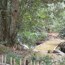 こちらも池に架かる橋