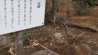 日本一の力自慢