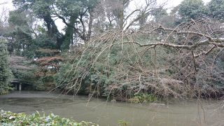 桜の季節に・・