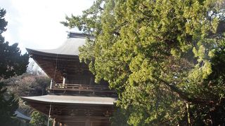 非常に大きなお寺です