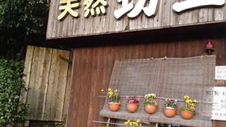 別府には、八つの”地獄”が有って、2時間前後で巡る事ができます。