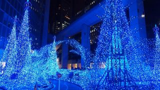 けっこう見ごたえがあります！