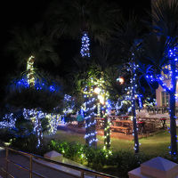 夜のライトアップはとてもきれいでした。