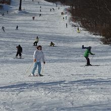 スカイケーブル脇のゲレンデ