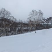 雪質は地域でもいいスキー場