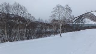 雪質は地域でもいいスキー場