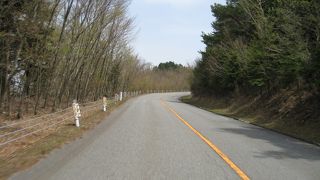 東の伊豆スカ、西の龍神