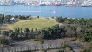 東京港を一望