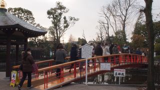 薬師殿へ行く橋