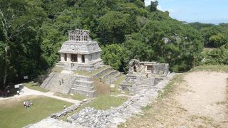 ジャングルの中の遺跡