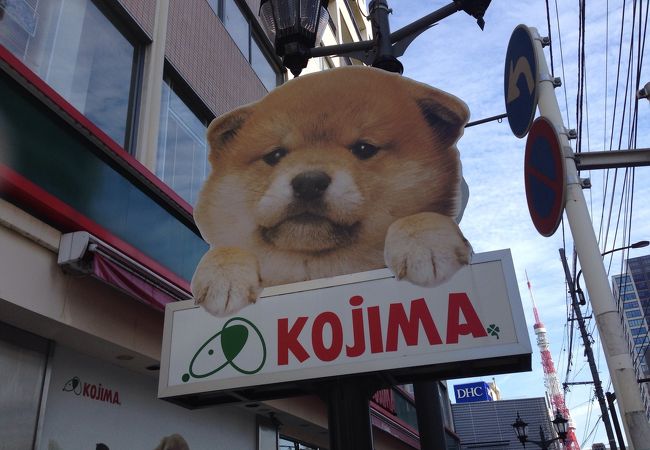 ペットショップ コジマ 六本木店 クチコミ アクセス 営業時間 六本木 フォートラベル ペットショップ コジマ 六本木店 クチコミ アクセス 営業時間 六本木 フォートラベル