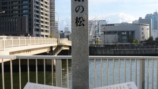 枝ぶりが蛸の足に似ている