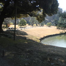 出汐湊の岸辺の様子です。岸辺の汀は、木杭で形造っています。