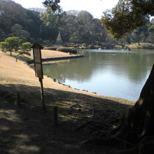 解説板を含めて出汐湊から玉藻の磯と千鳥橋方向までを見ています
