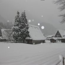 見るのはいいですが、住むのは大変です。