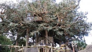 気軽に楽しめます