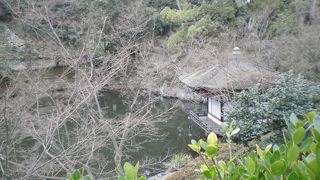 手入れの行き届いた日本庭園