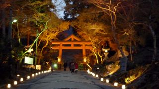 桜と紅葉の季節に訪問したいスポット