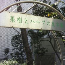果樹とハーブの見本園との表示のあるコーナーが南側にあります。