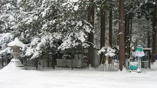 円山公園に来たら・・・