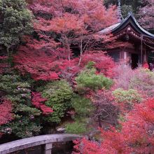 高台弁財天と紅葉