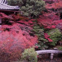 空いているのでゆっくり見学できます