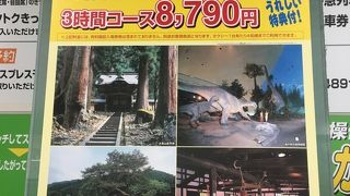 意外とお得！？福井観光を短時間でリーズナブルに！