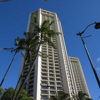 青い空に映えます