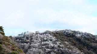 季節ごとに訪れたい美しい山