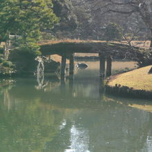 紀川から田鶴橋を見た写真です。田鶴橋からの紀川の写真は無し