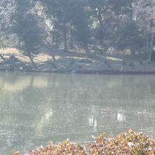 紀川から見た中の島です。中の島には入れませんので写真は無し。