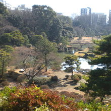 藤代峠から紀川を見ています。池の手前に開けているのが紀川です