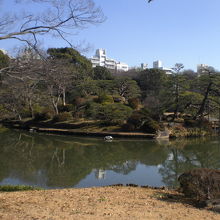 紀川の東側から中の島を見ている写真です。中の島には入れません