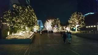 2月でもイルミネーションやってました