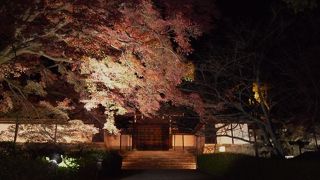 門が閉まった夜もライトアップされて綺麗