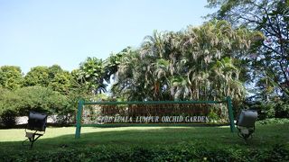 蘭を無料で楽しめる