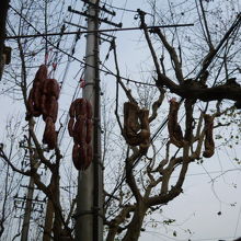 腸詰めが干してありました。