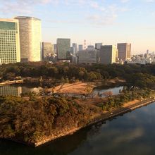 最上階展望レストランから