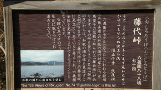 藤代峠は、六義園全体を見渡すことができる絶好の眺望点です。