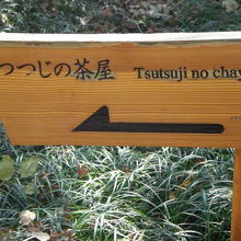 つつじ茶屋への道を案内する札です。道の上の樹々が覆っています