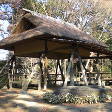 つつじ茶屋の側面の様子です。樹々の木洩れ陽に映えています。