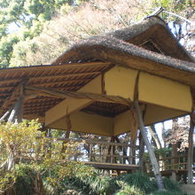 つつじ茶屋を見上げた様子です。東側から見ている写真です。