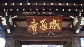 国歌君が代に詠まれている「さざれ石」があります～