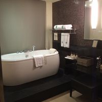 解放感溢れる浴室。別にシャワー室もあります。