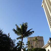 プールからの眺め