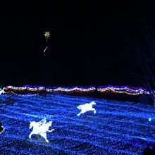 イルミネーション