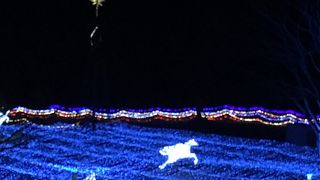 冬のイルミネーション