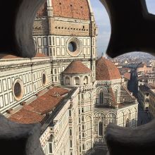 色んな角度から写真を撮ることができます