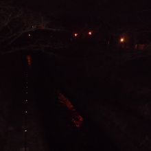 夜の琵琶湖疏水