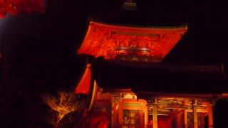 大混雑なので時間にゆとりをもって散策を！